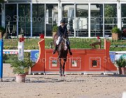 Buldini Doc Dux Giovanili2013  S5 5483 : Arezzo Equestrian Centre, Buldini Lavinia, Doc Dux, foto di Stefano Secchi ©. Campionati Italiani Giovanili 2013
